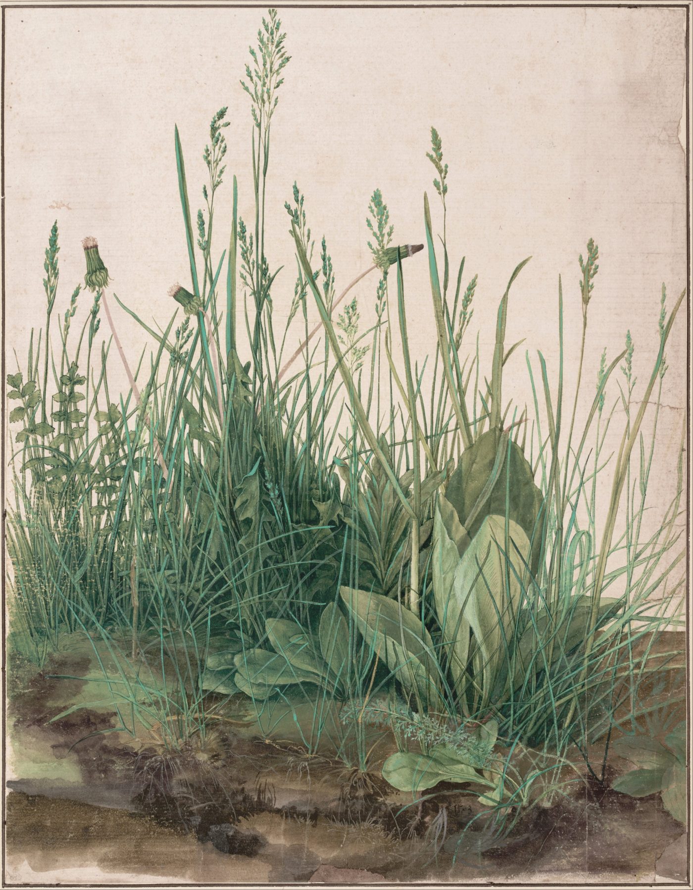 The Great Piece of Turf