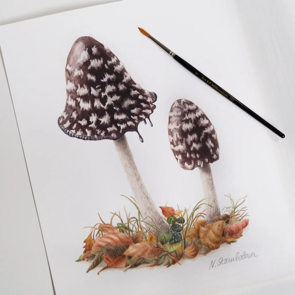Mushrooms