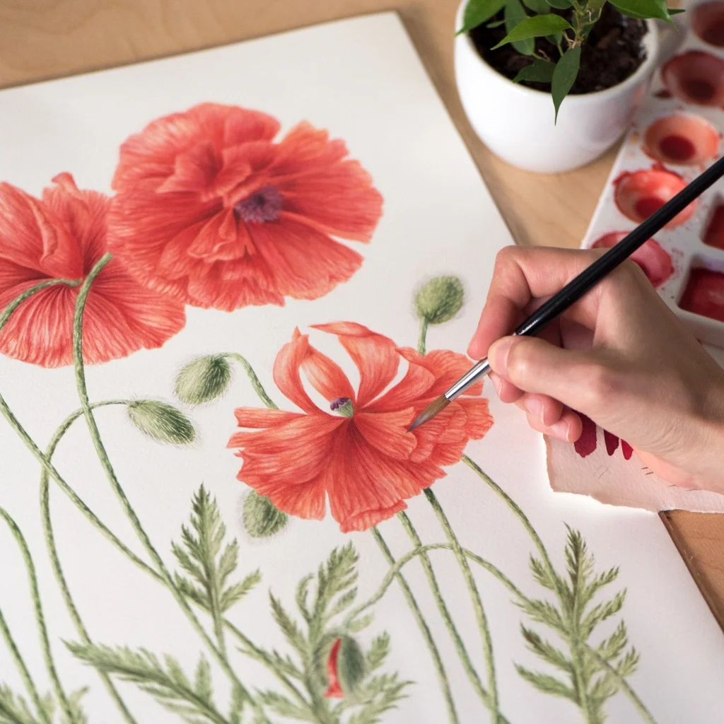 Poppies